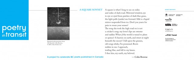 pages-from-pit08_busads